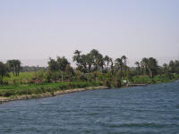 nil z nile treasure